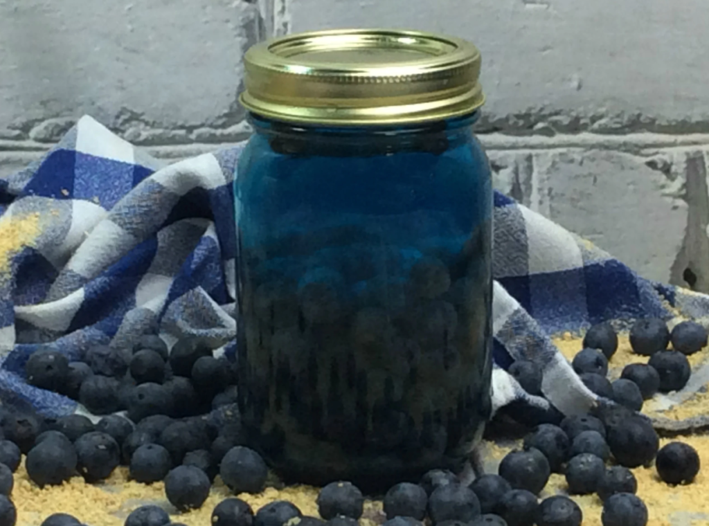 BLUEBERRY MOONSHINE RECIPE