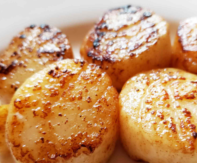 Scallops 